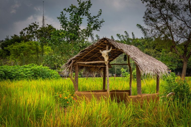 054 Sigiriya, aliya resort.jpg